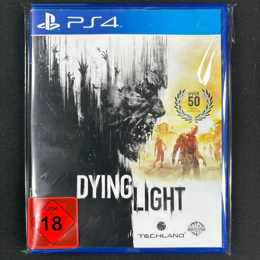 Dying Light vorn