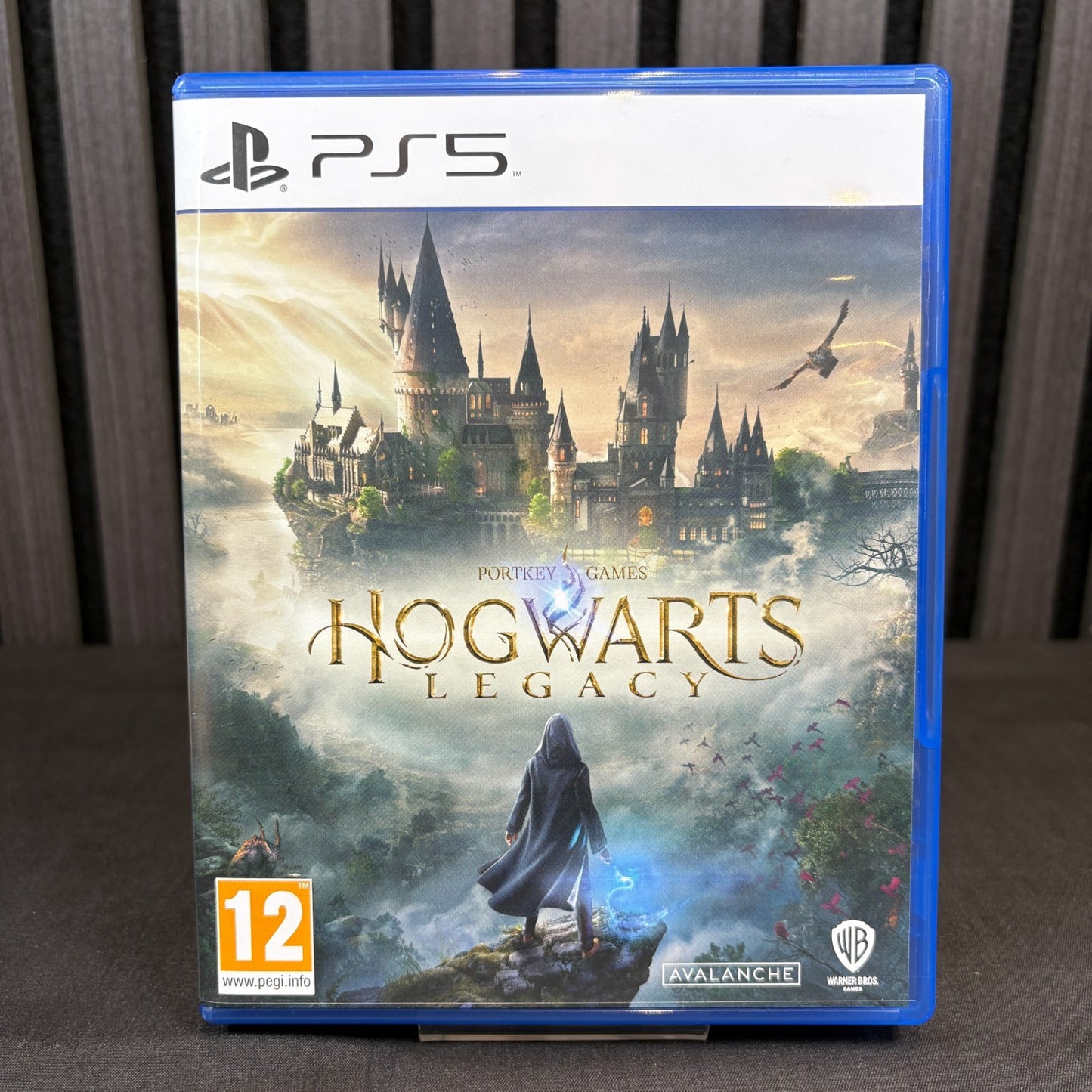 Hogwarts Legacy PS5 EU Cover Vorderseite Detailansicht sehr gut