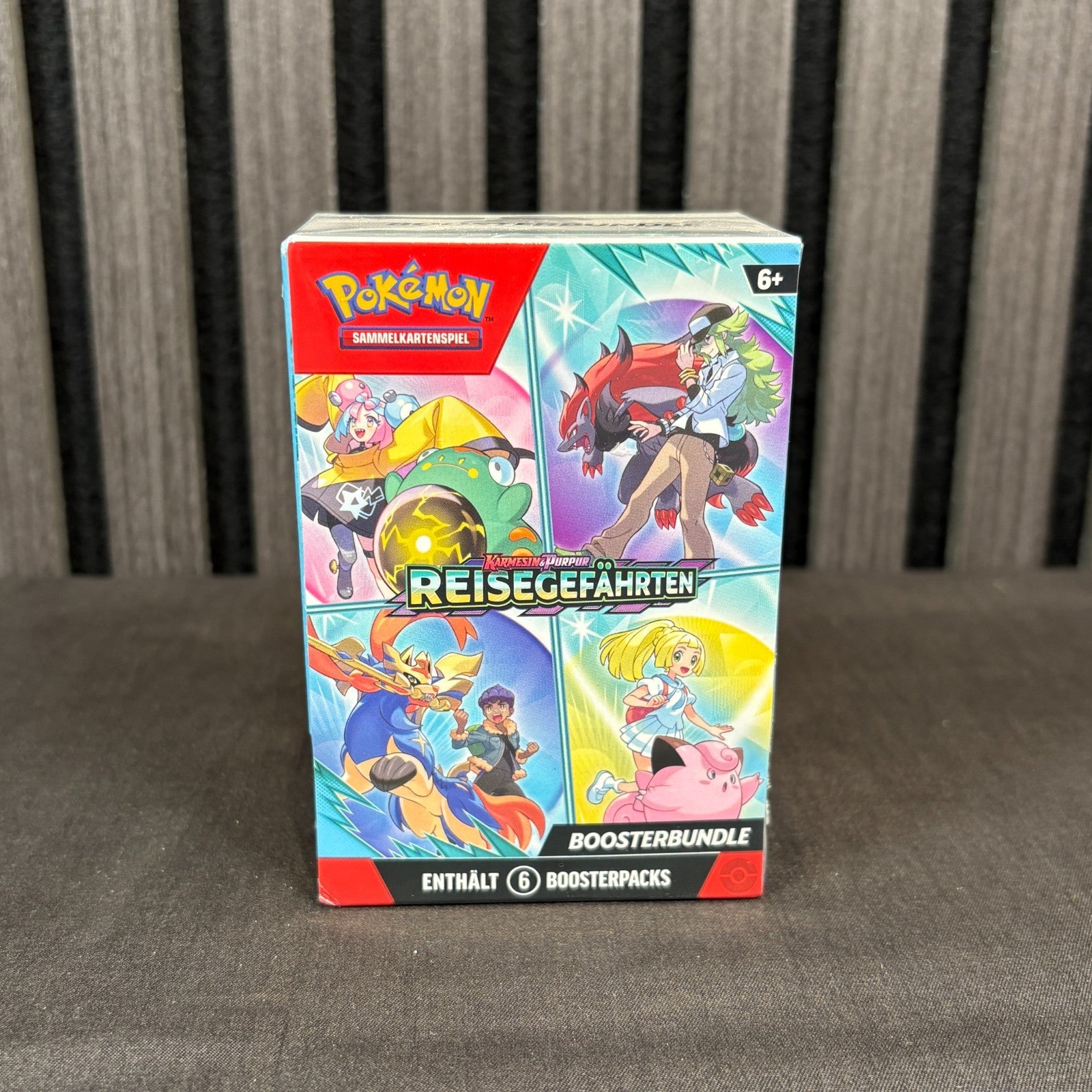 Pokemon Reisegefährten Booster Pack Vorderseite Detail